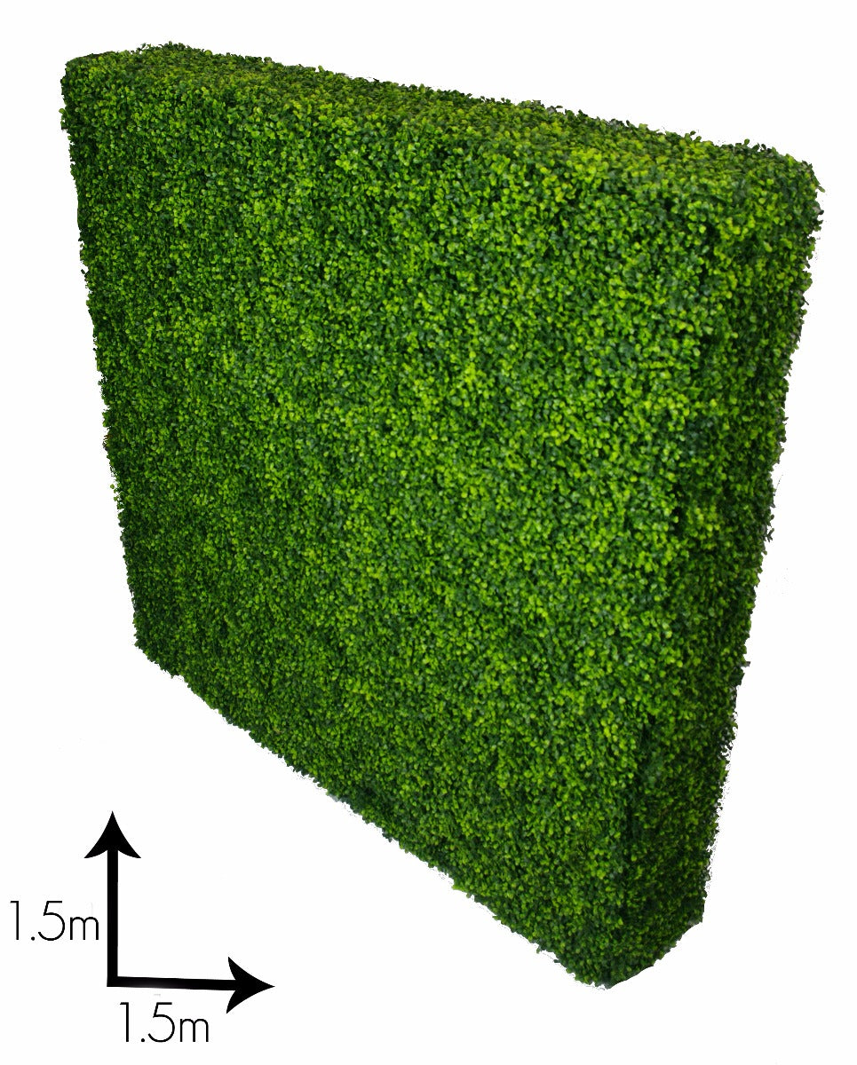 Large Portable Boxwood Hedges UV Stabilised 1.5m By 1.5m