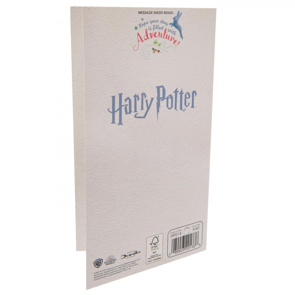 Harry Potter Birthday Card Sister