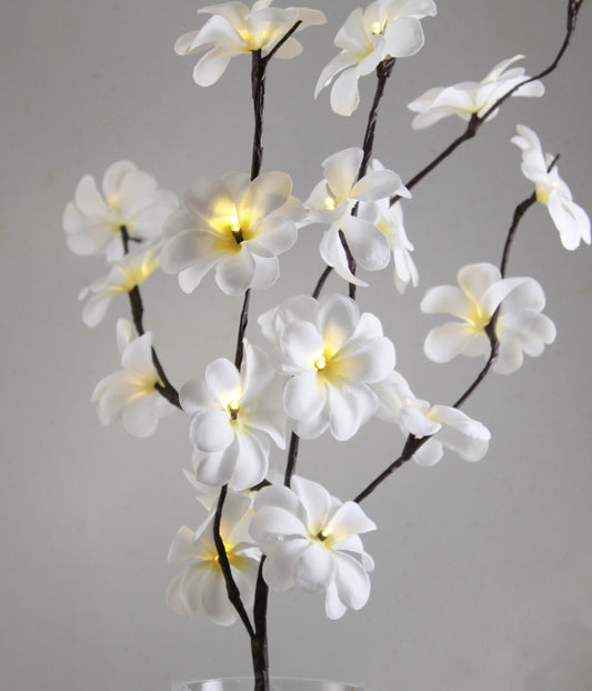 1 Set of 50cm H 20 LED White Frangipani Tree Branch Stem Fairy Light Wedding Event Party Function Table Vase Centrepiece Decoration