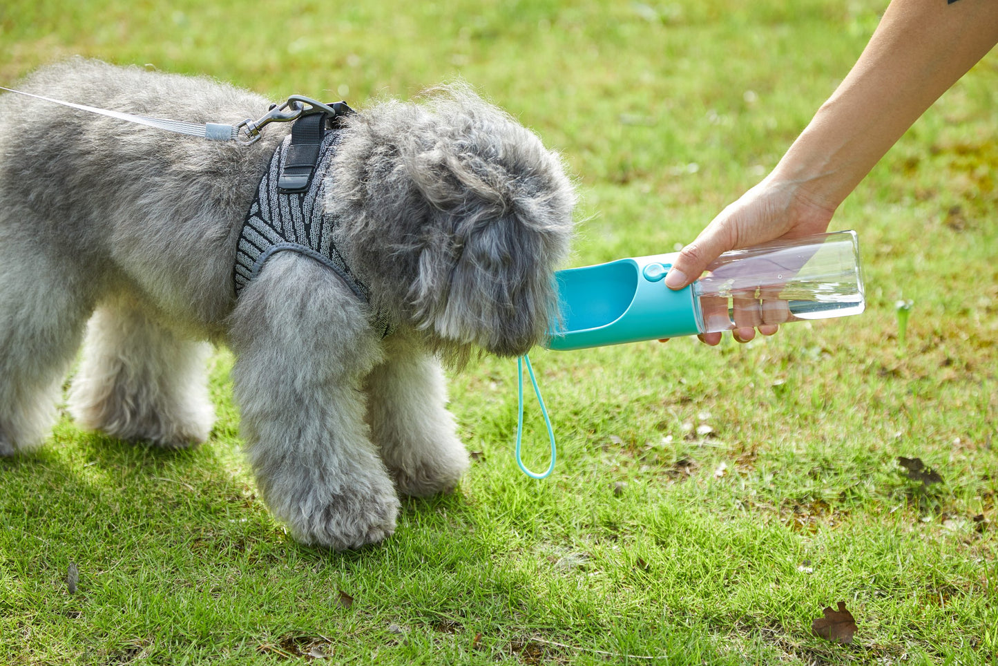 PETKIT Pet Bottle 400ml - Blue