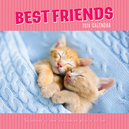 Best Friends - 2024 Square Wall Calendar Pets Animals 16 Months Premium Planner