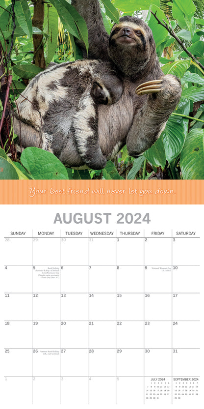 Best Friends - 2024 Square Wall Calendar Pets Animals 16 Months Premium Planner