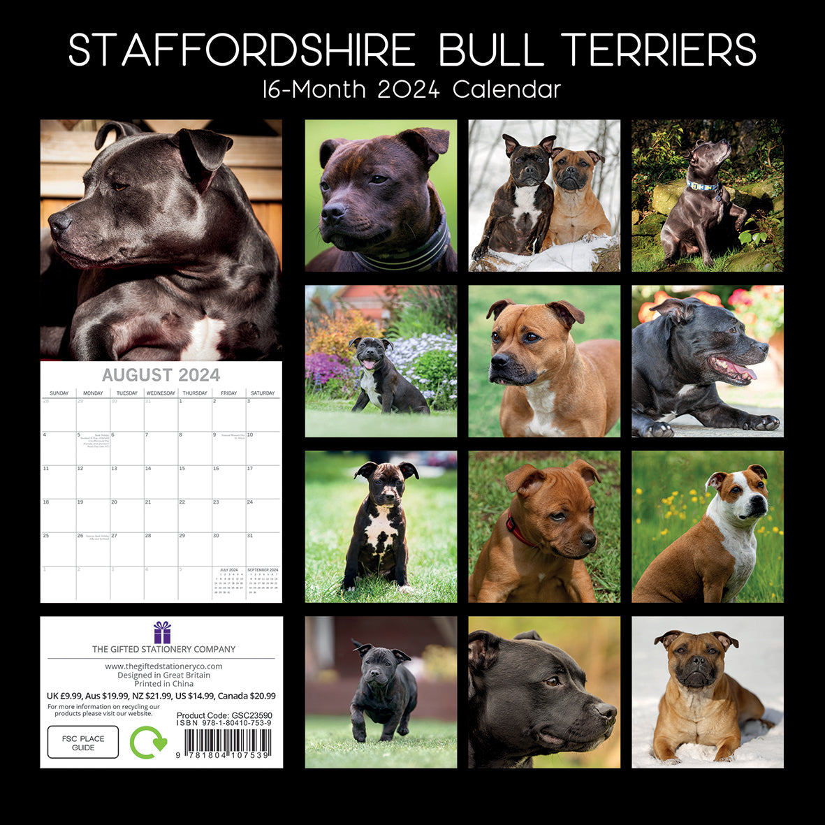 Staffordshire Bull Terriers 2024 Square Wall Calendar Pets Dog 16 Months Planner