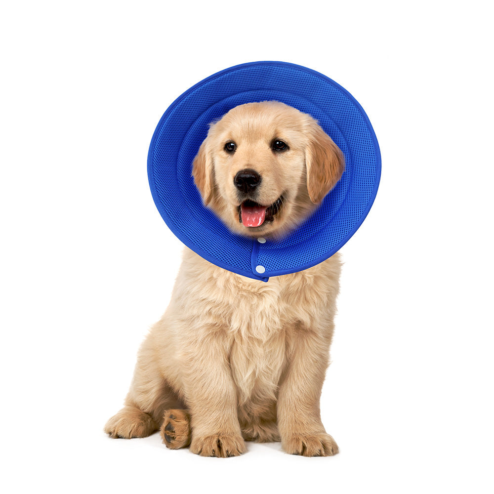 Ondoing Pet Dog Cat Elizabethan Collar Adjustable Cone Mesh Recovery Multicolor