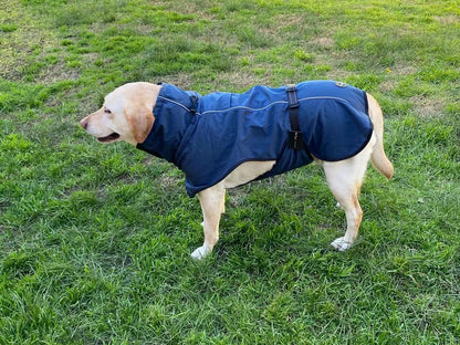 Pet Dog Raincoat Poncho Jacket Windbreaker Waterproof Clothes with Harness Hole-XL-Blue