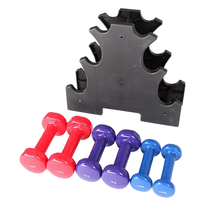 6-Piece Dumbbell Set with Rack