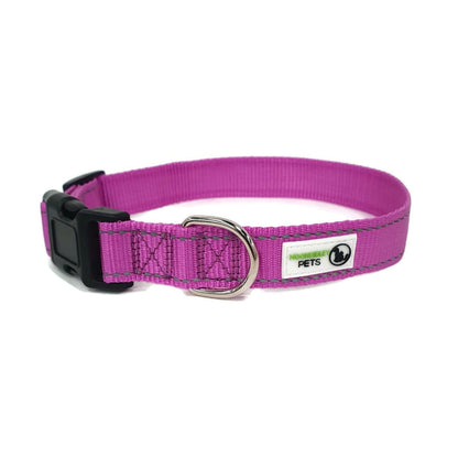 Nylon w/Reflective Stitching Dog Collar Large Purple - Moondidley Pets