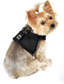 Vest Harness Pet Dog-Cat Step-in Velcro and Buckle Attachments - Moondidley Pets Large Green